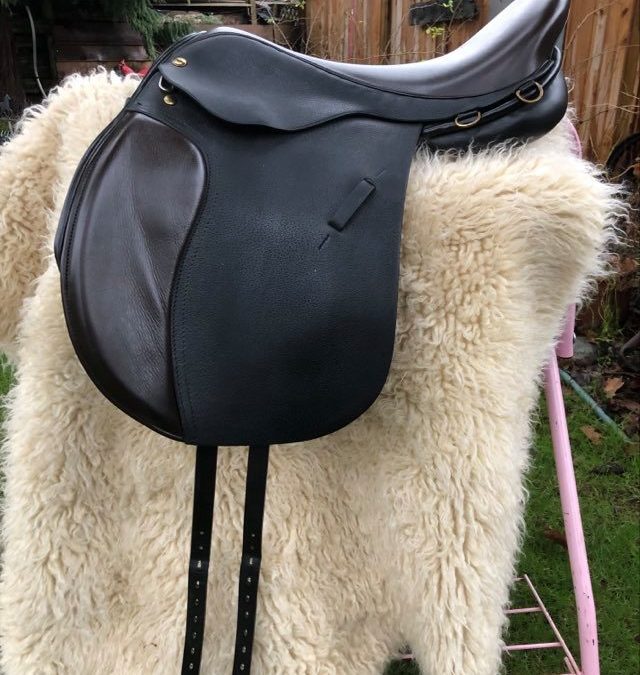 Saddle 2 Placeholder