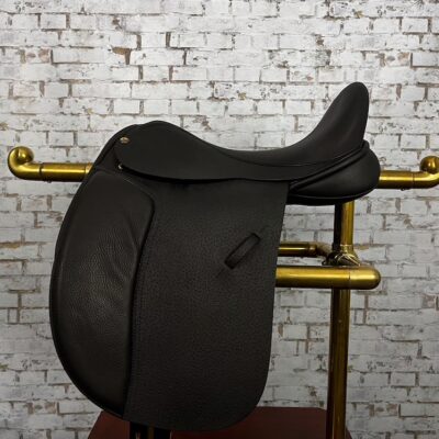 Black Country Eloquence Dressage