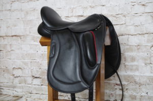 Jeremy Rudge Remy Dressage