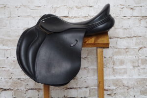 Loxley by Bliss Foxhunter Jump