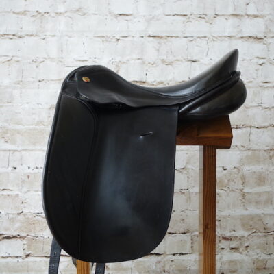 Karl Neiderseuss Dressage