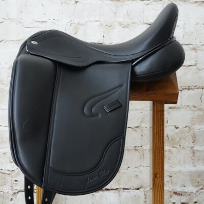 Adam Ellis Olympus Dressage