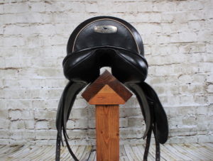 Black Country Eloquence Dressage