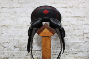 Jeremy Rudge Remy Dressage