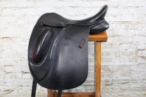Jeremy Rudge Remy Dressage