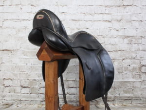 Black Country Eloquence Dressage
