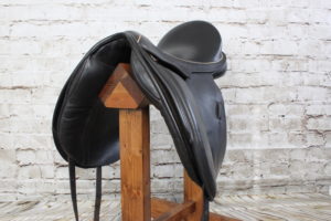Black Country Eloquence Dressage