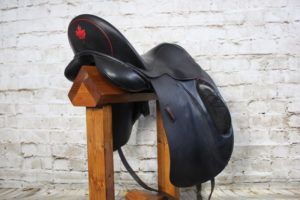 Jeremy Rudge Remy Dressage