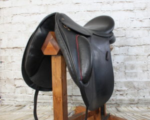 Jeremy Rudge Remy Dressage