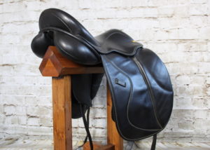 Ideal AST Dressage