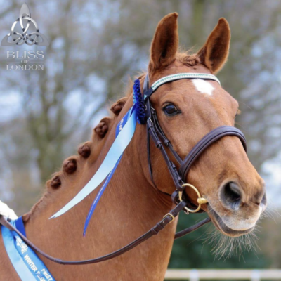 Bliss of London Loxley Bridle